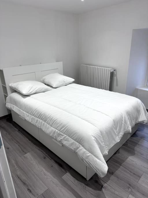 Appartement T4 En Hyper-Centre Bourgoin-Jallieu Exterior foto