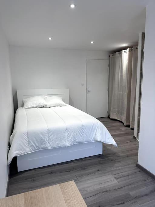 Appartement T4 En Hyper-Centre Bourgoin-Jallieu Exterior foto