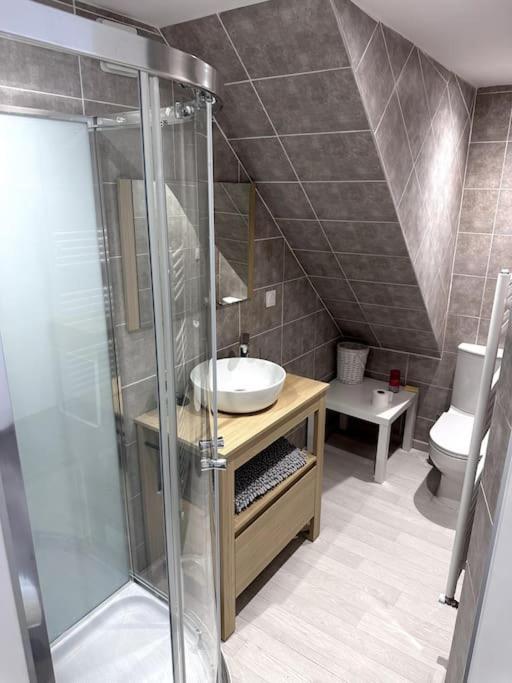 Appartement T4 En Hyper-Centre Bourgoin-Jallieu Exterior foto